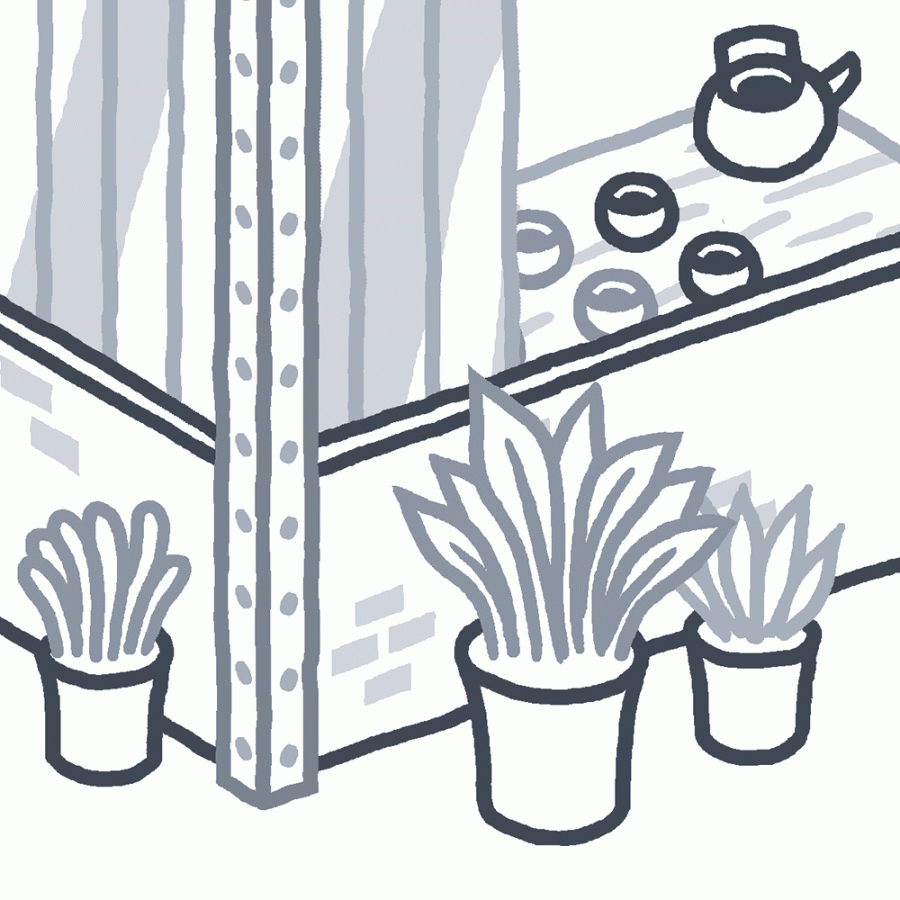 THOMAS VIEILLE, auteur et illustrateur.  