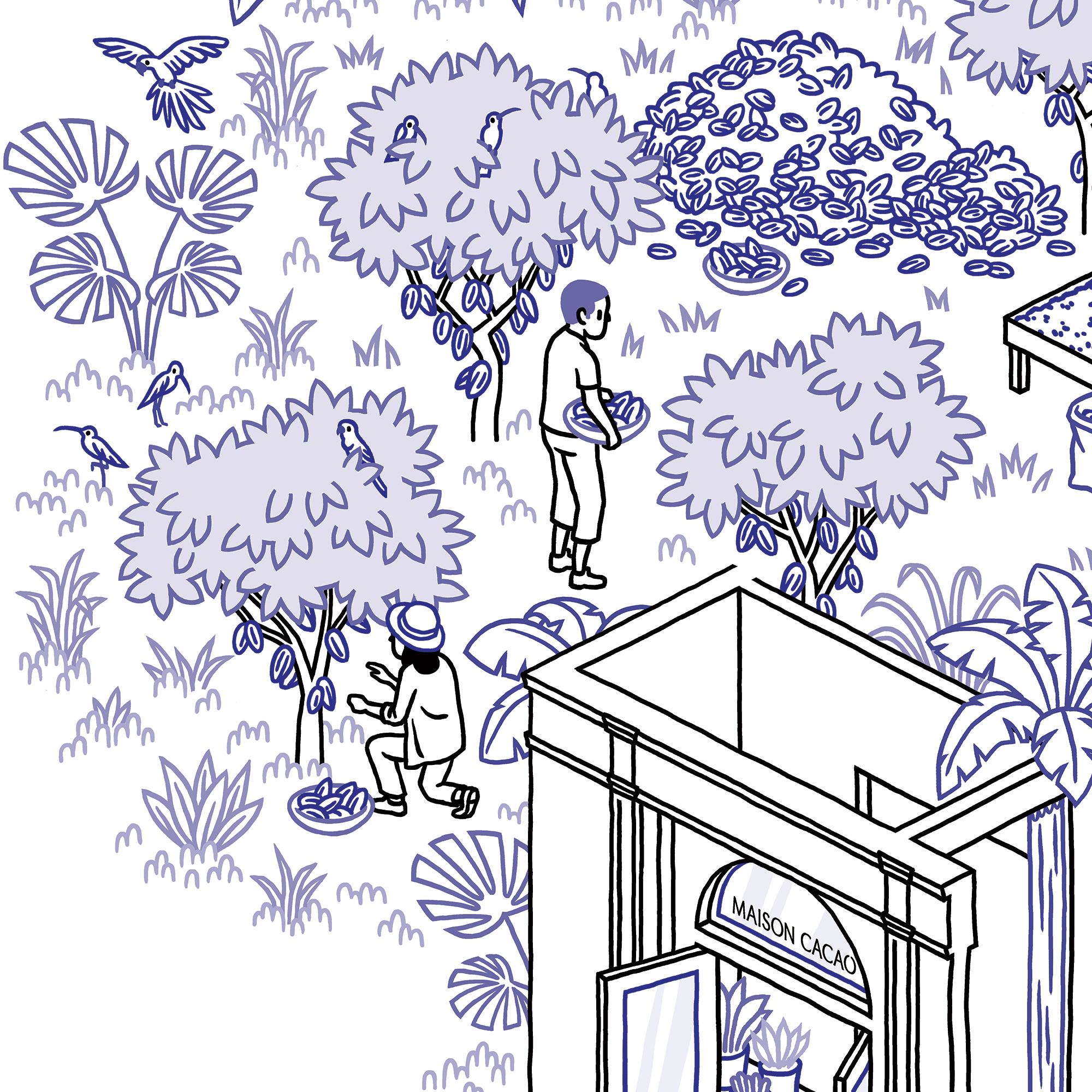 THOMAS VIEILLE, auteur et illustrateur.  