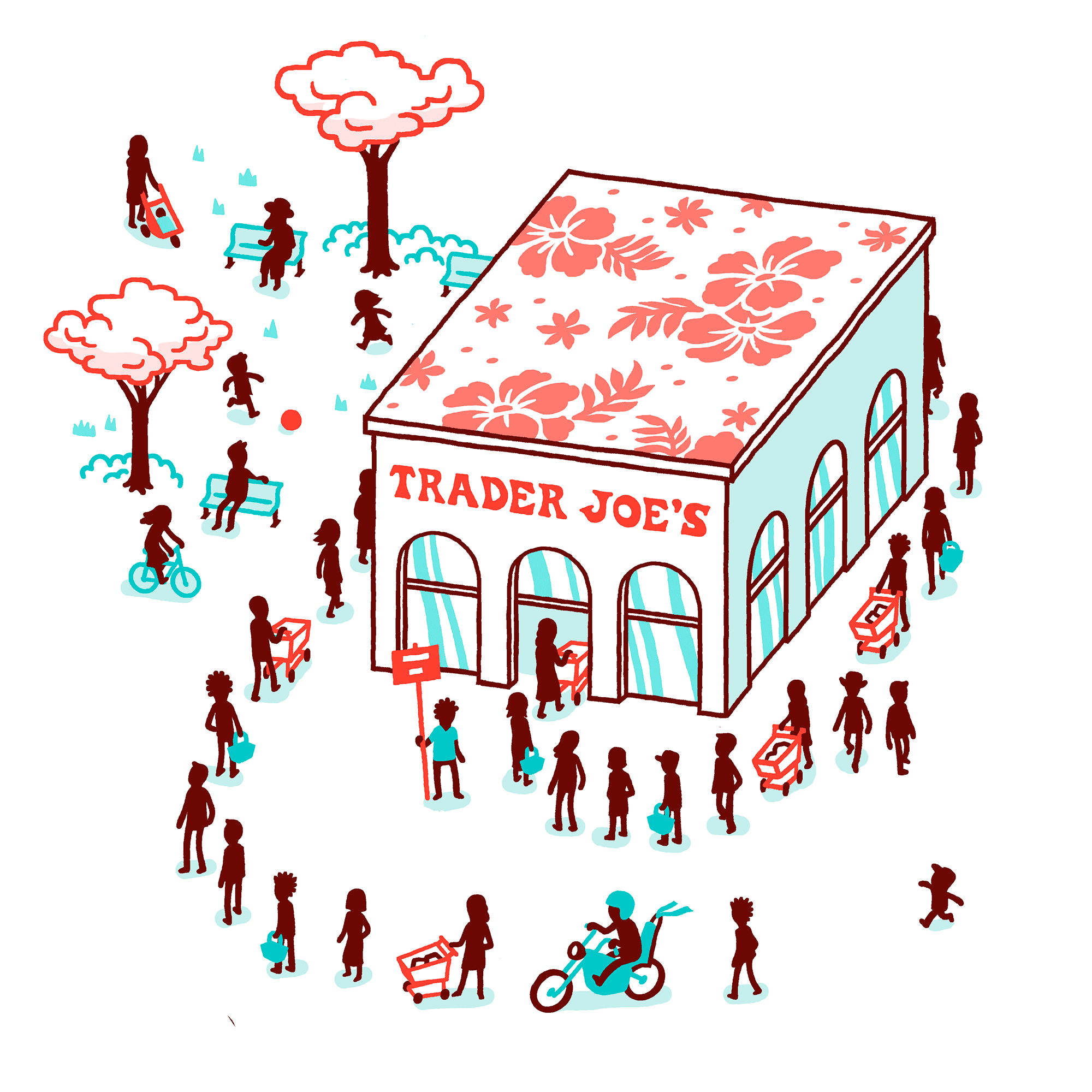 THOMAS VIEILLE, auteur et illustrateur.  