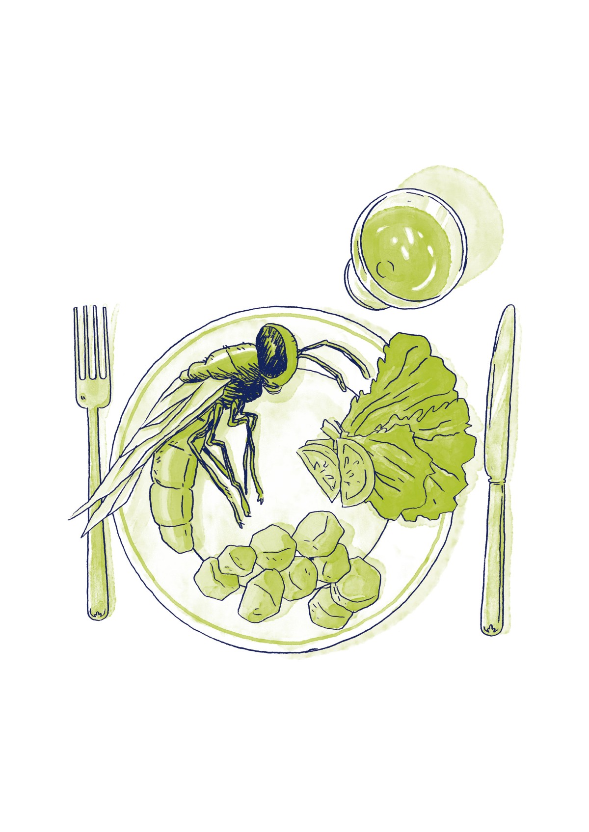 THOMAS VIEILLE, auteur et illustrateur.  