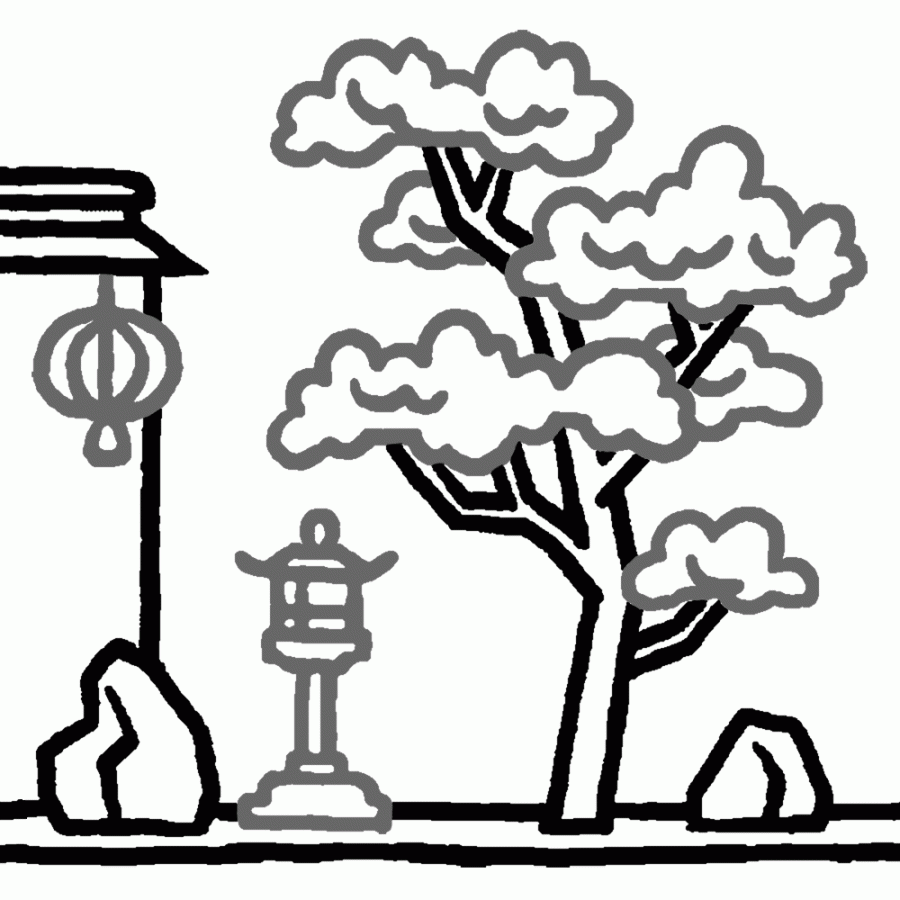 THOMAS VIEILLE, auteur et illustrateur.  