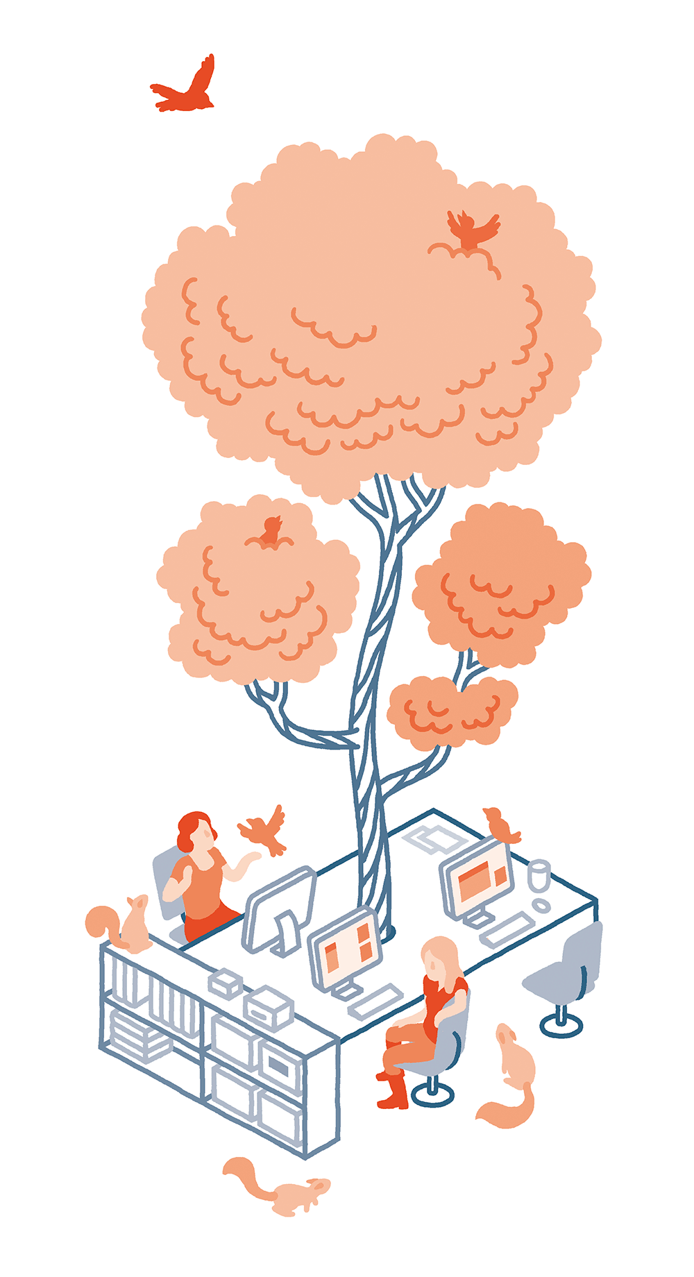 THOMAS VIEILLE, auteur et illustrateur.  